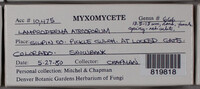 Image Associated With the Occurence